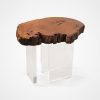 Bahia Pequi & Acrylic Side Table