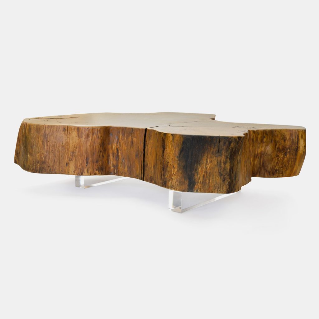 Unique Jequitiba Trunk and Acrylic Legs Coffee Table | Rotsen Furniture