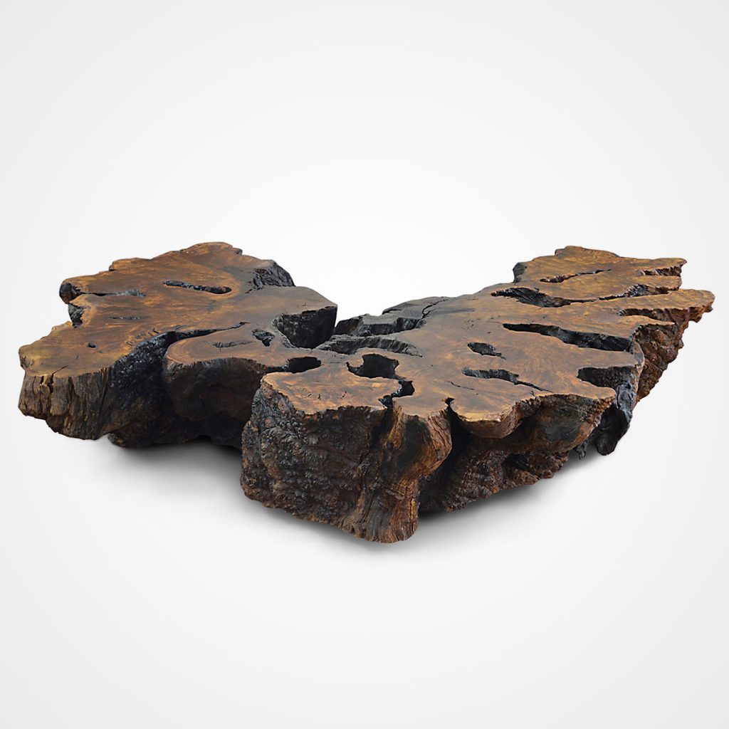 Organic Imbuia Coffee Table Rotsen Furniture